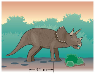 triceratops foot