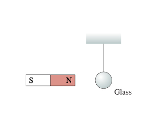The figure shows a glass sphere hung by a string from the ceiling. a bar magnet is located horizontally at the left side of the sphere. the north pole of the magnet points towards the sphere.
